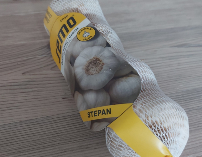 Herbst-Knoblauch-Setzlinge Štepan 4 Zwiebeln