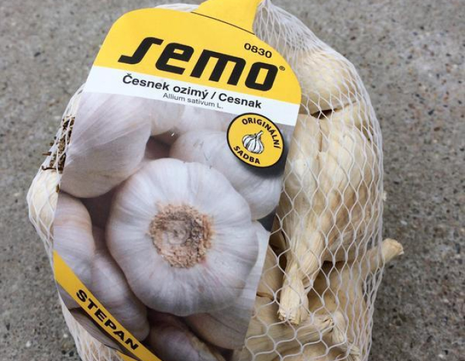 Herbst-Knoblauch-Setzlinge ŠTĚPÁN 0,5kg