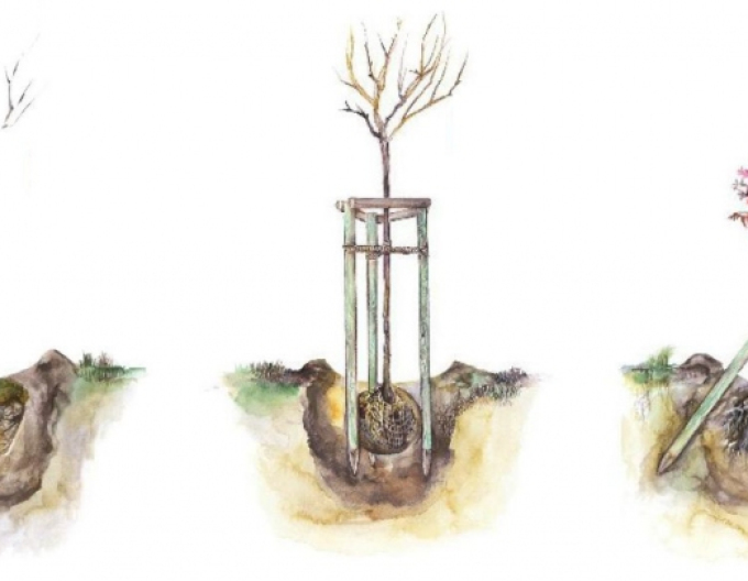 Stützpfahl mit Erdspieß Durchmesser 6cm - Höhe 250cm