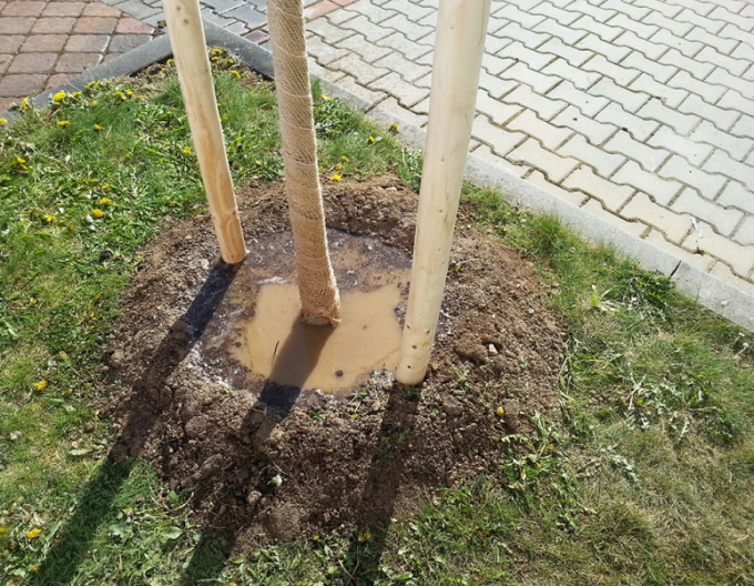 Stützpfahl mit Erdspieß Durchmesser 6cm - Höhe 250cm