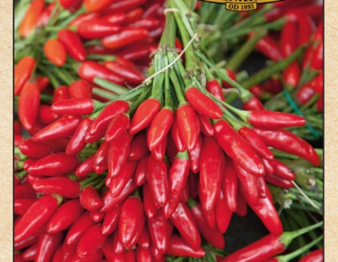 Paprika Chili Birds Eye