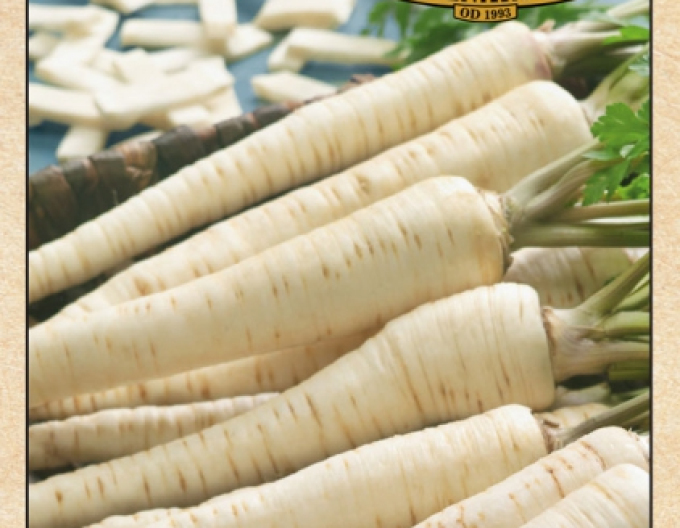 Petersilie - Garten - bewurzelt Olomoucká Dlouhá