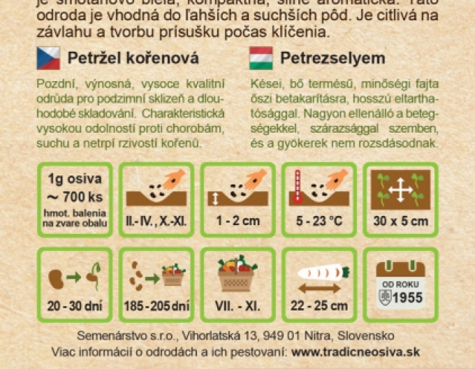 Petersilie - Garten - bewurzelt Olomoucká Dlouhá
