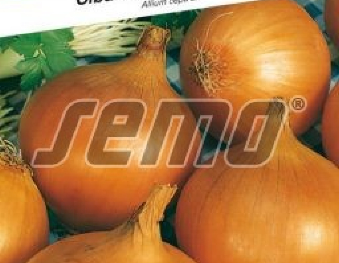 Semo Zwiebel Alice