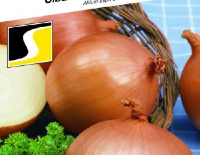 Saatgut Frühlingszwiebel Claria