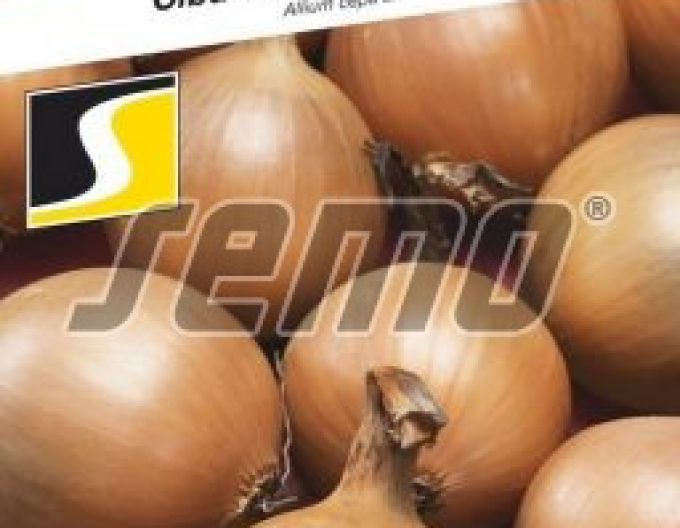 Semo Frühlingszwiebel Wellina