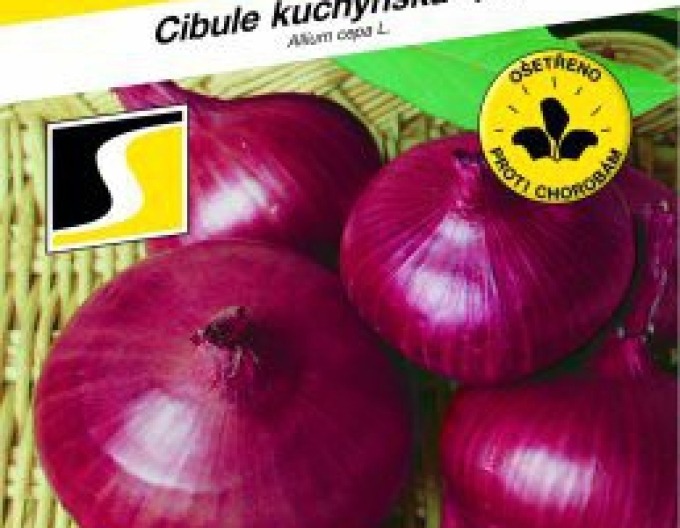 Semo Frühlingszwiebel Karmen