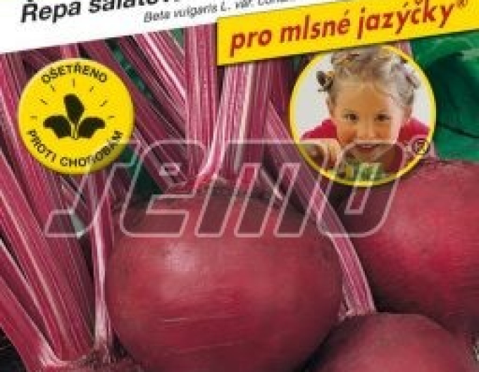 Semo Rote Bete  Pablo F1