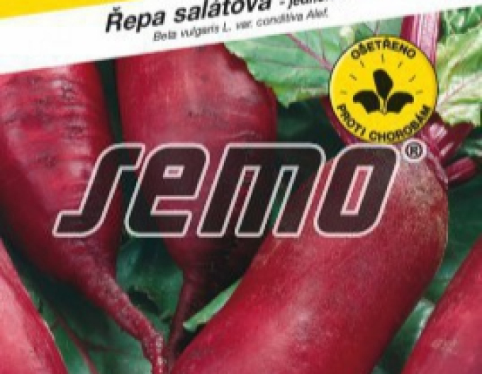 Rote Bete Monorubra