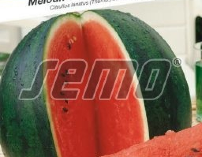 Semo Wassermelone Lajko II F1