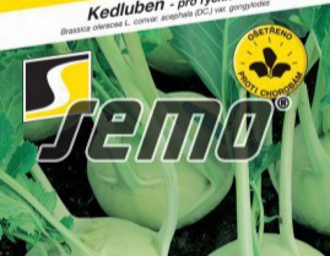 Semo Kohlrabi Dvorana
