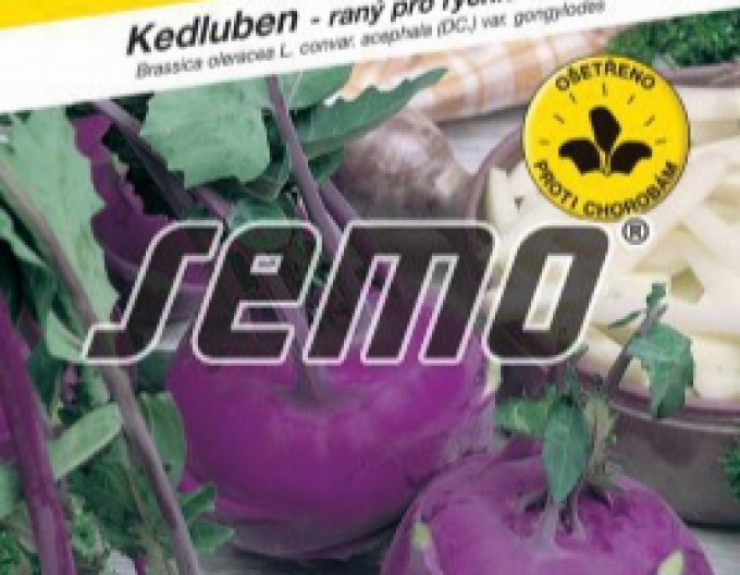 Semo Kohlrabi Azur