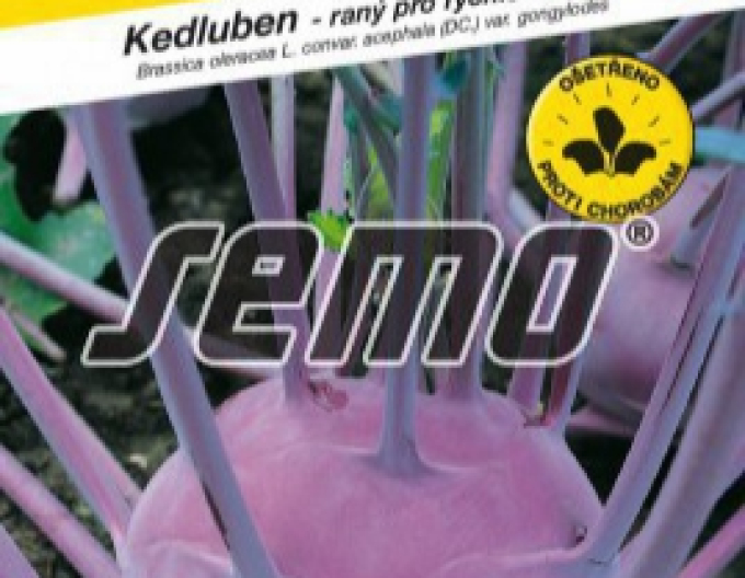 Semo Kohlrabi Viola