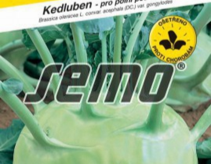 Semo Kohlrabi Kossak F1