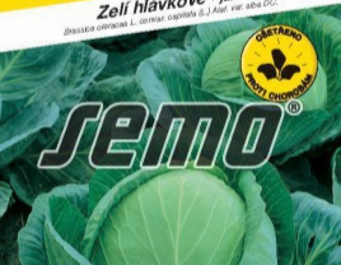 Semo Weißkohl  Unikat F1