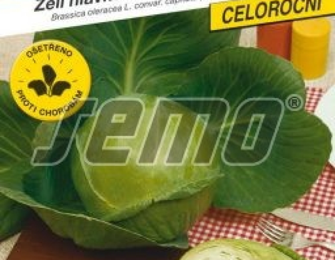 Saatkohl Minica F1