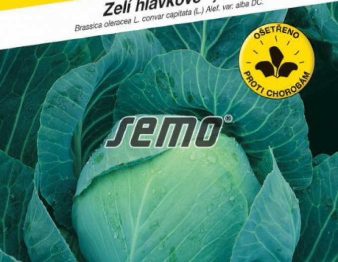 Semo Weißkohl  Zora