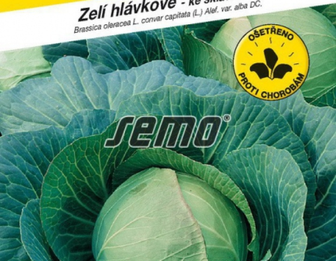 Semo Weißkohl  Polar