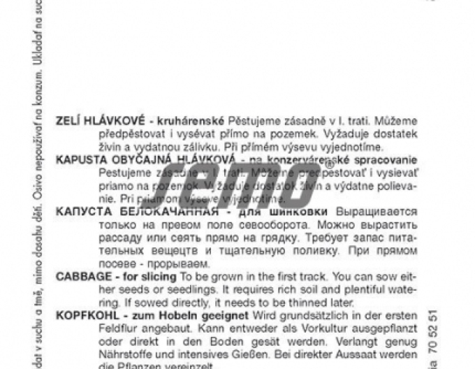 Semo Weißkohl Pavlo F1