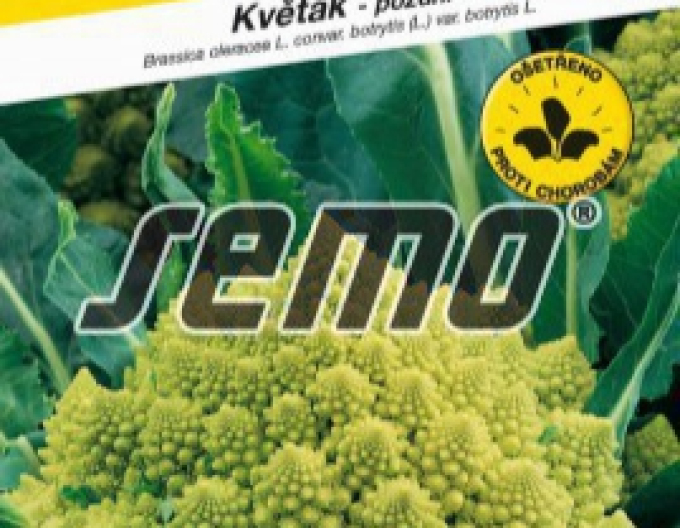 Semo Blumenkohl Veronica F1
