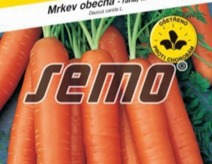 Semo Karotte Nantes 3