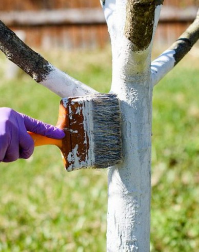 Biovita Kalk zum Bleichen von Bäumen und Sträuchern 2kg