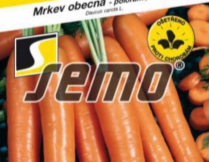 Semo Karotte  Anina