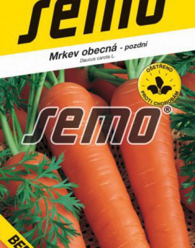 Semo Karotte Berlikumer 2