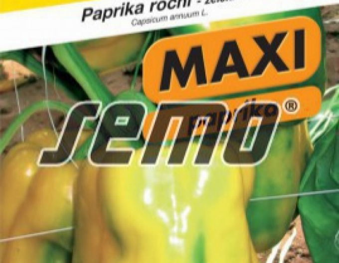 Saatgut Paprika einjährig Theos F1
