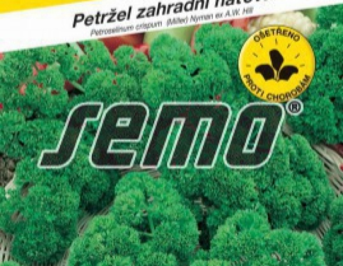 Saatgut Petersilie Gartenspinat Curly