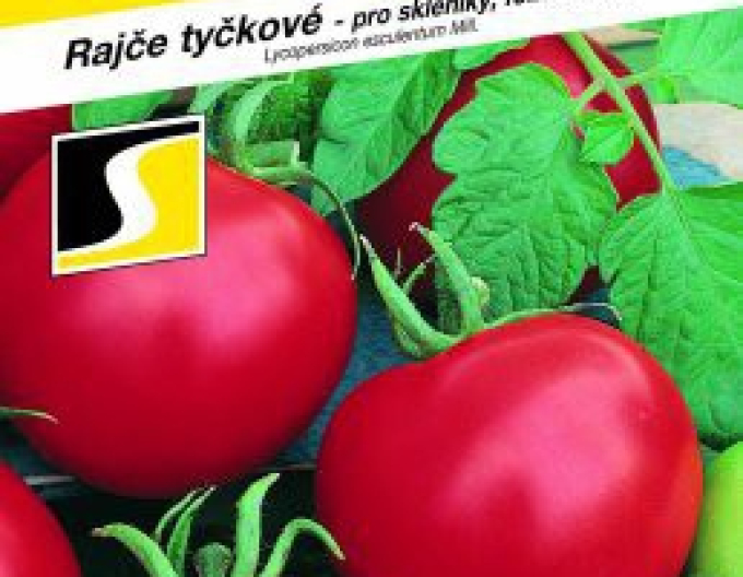 Saatgut Tomate Tipo F1