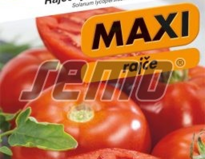 Saatgut Tomate Pitagora F1
