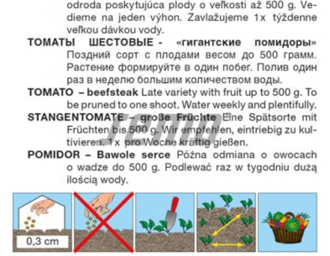 Saatgut Tomate Pitagora F1