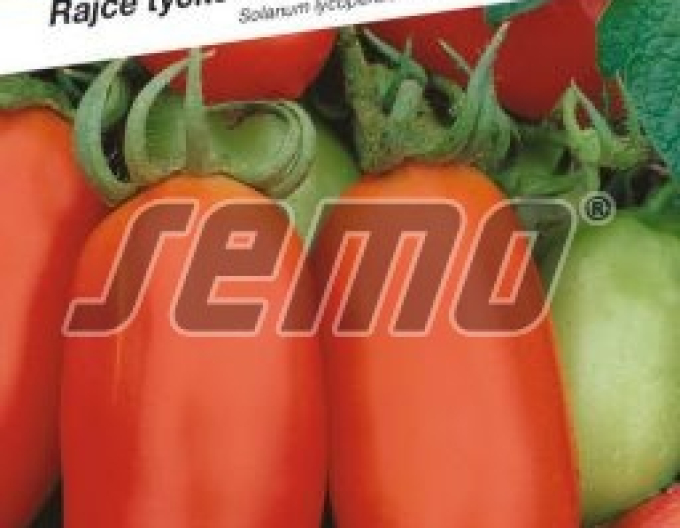 Saatgut Tomate Gennaro F1