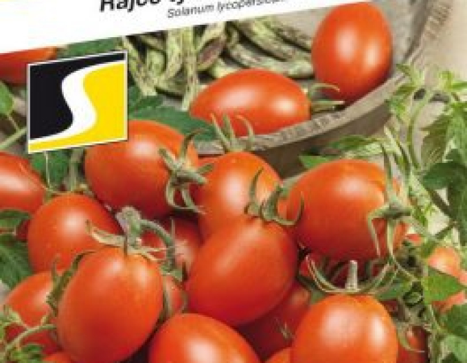 Saatgut Tomate Blumko