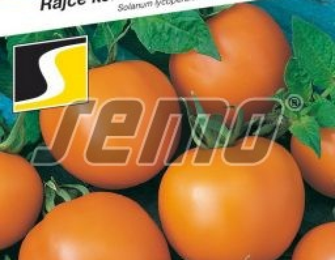 Saatguttomate Orange