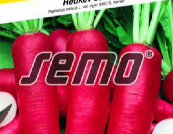 Semo Radieschen Karmina