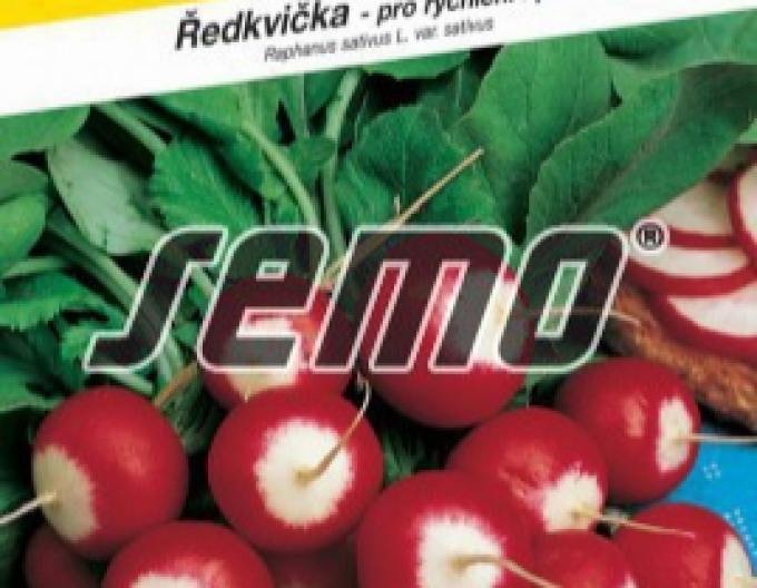 Semo Radieschen rot-weiß Duo