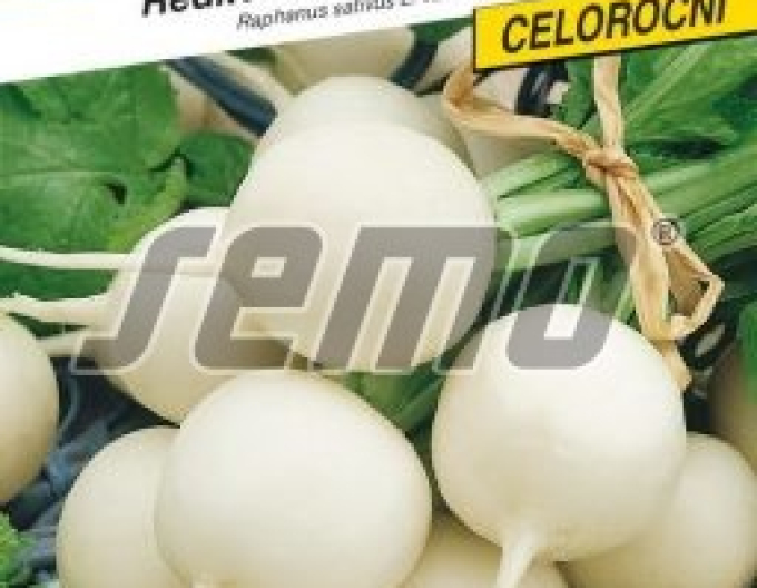 Semo weißer Rettich Belana F1