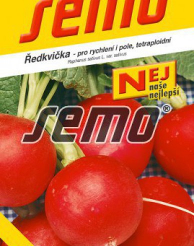 Semo Radieschen Kvarta