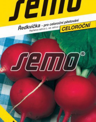Semo Radieschen Tercia