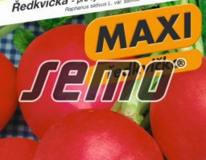 Semo Radieschen Vinara F1