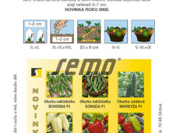 Semo Radieschen Vinara F1