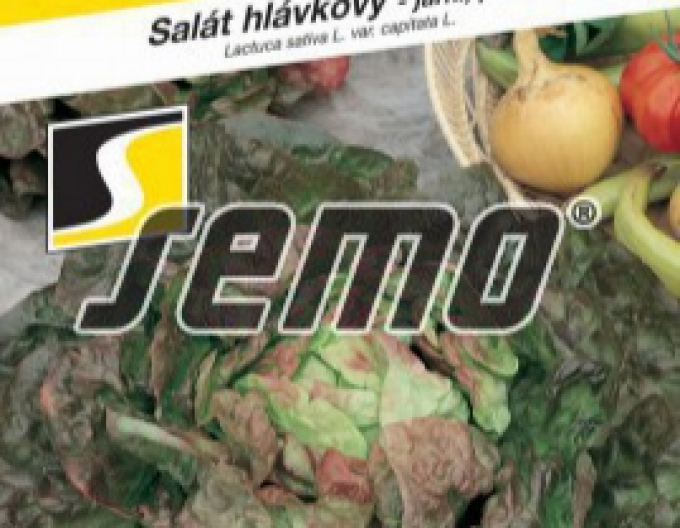Saatgut Kopfsalat `Cervil