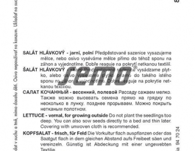 Saatgut Kopfsalat `Cervil