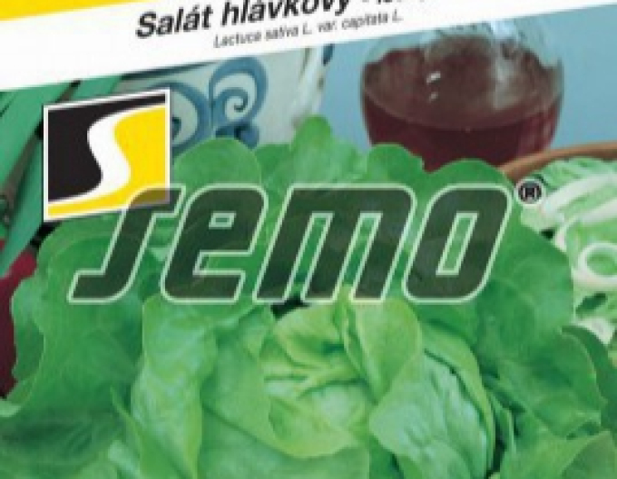 Saatgut Salat Mars
