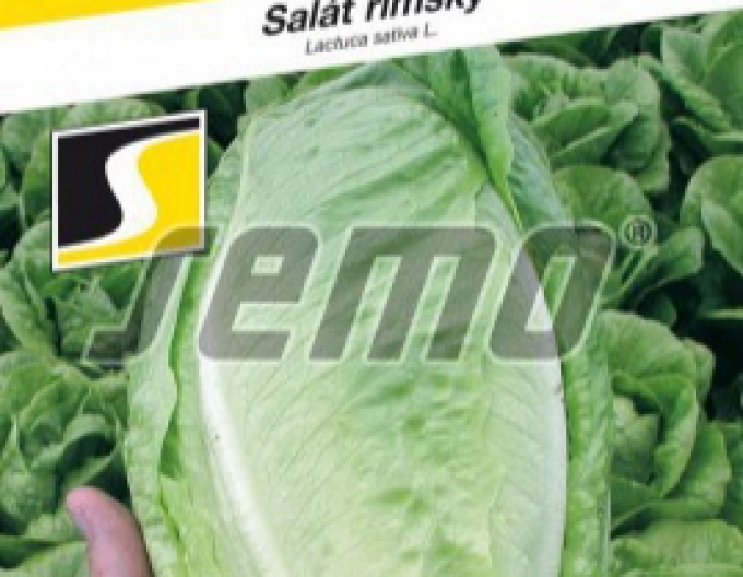 Semo-Römischer Salat Gelbus