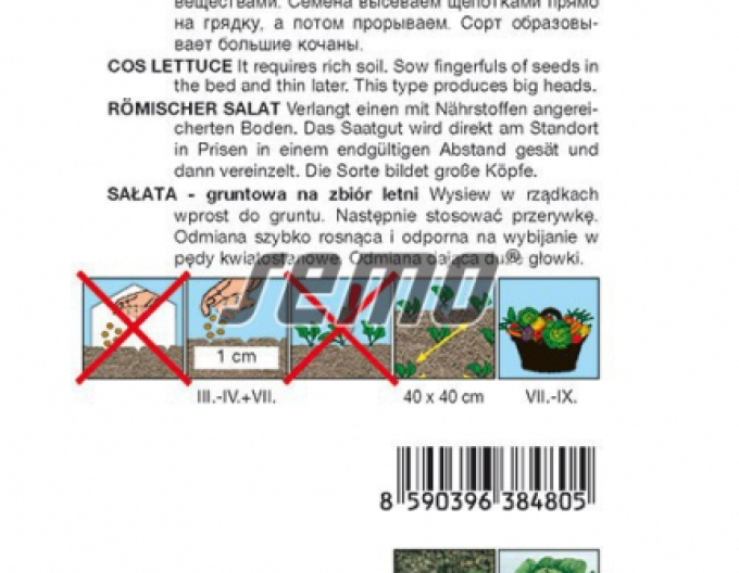 Semo Römischer Salat Globe