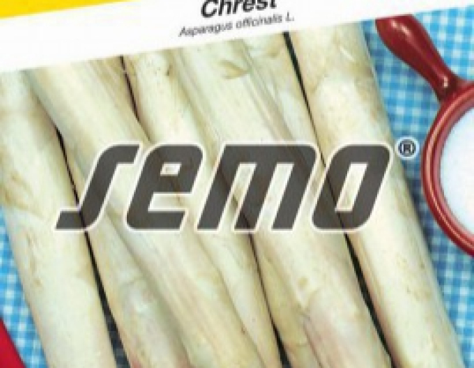 Semo Spargel Argenteuil