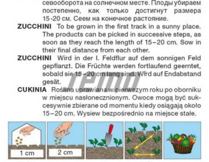 Saatgut Grüne Zucchini Emperol F1